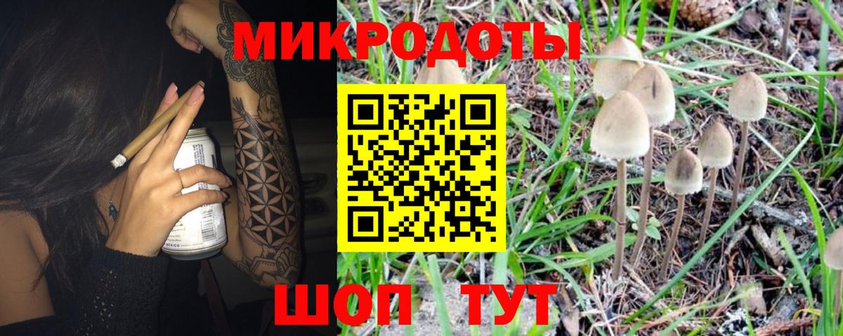 Псилоцибиновые грибы прущие грибы  Вход с VPN  Галлюциногенные грибы мухоморы  Партизанск 